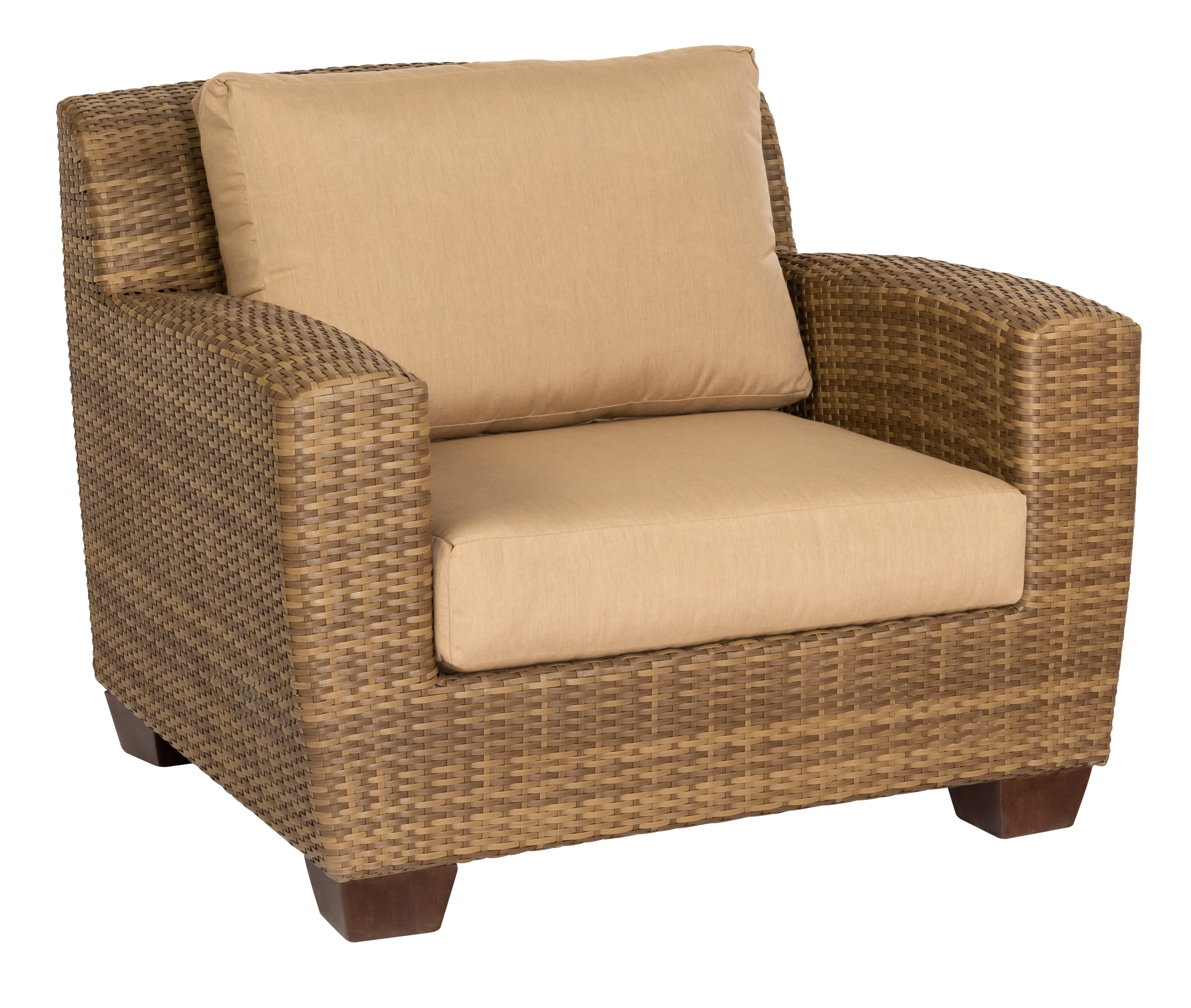 Saddleback Lounge Chair